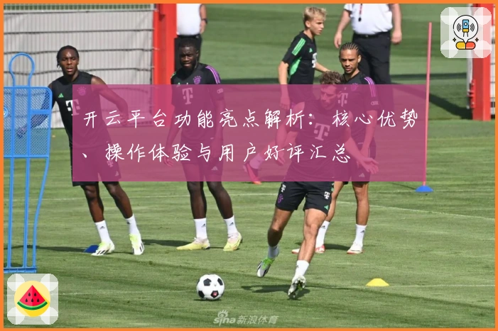 开云平台功能亮点解析：核心优势、操作体验与用户好评汇总