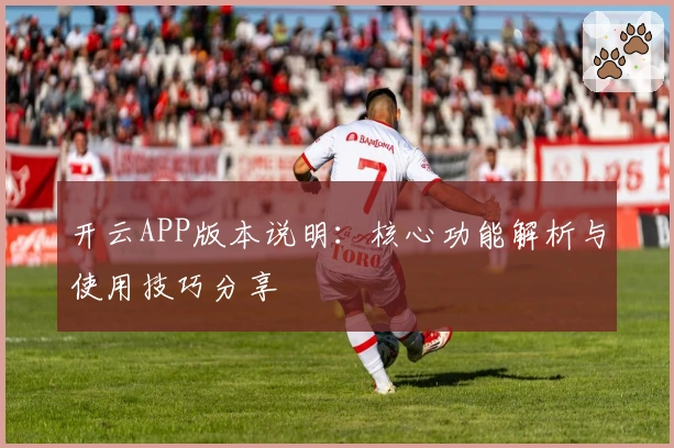 开云APP版本说明：核心功能解析与使用技巧分享